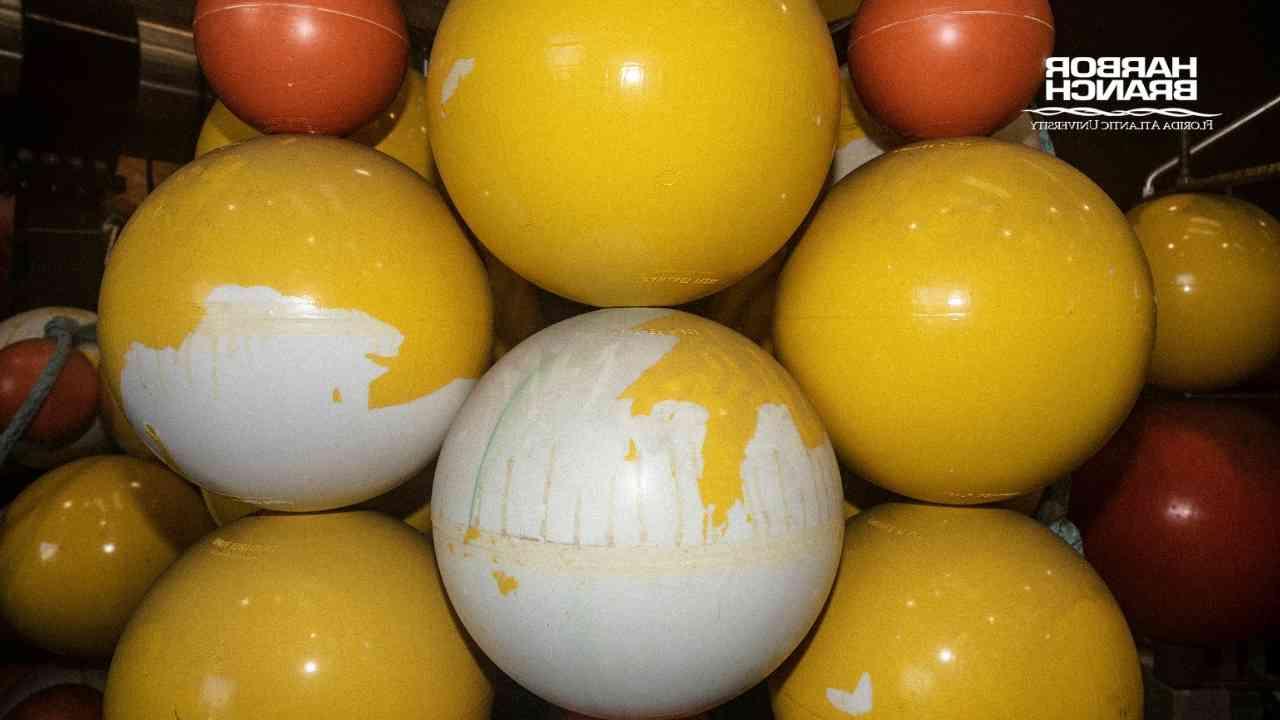 marine balls